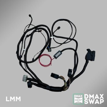LMM Standalone Harness