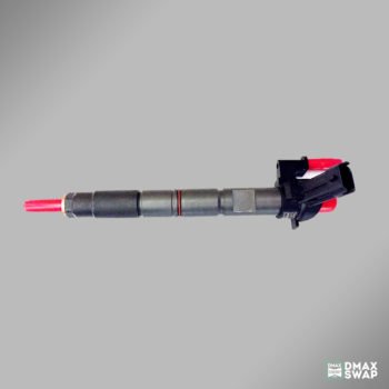 Exergy Remanufactured Injectors (8)